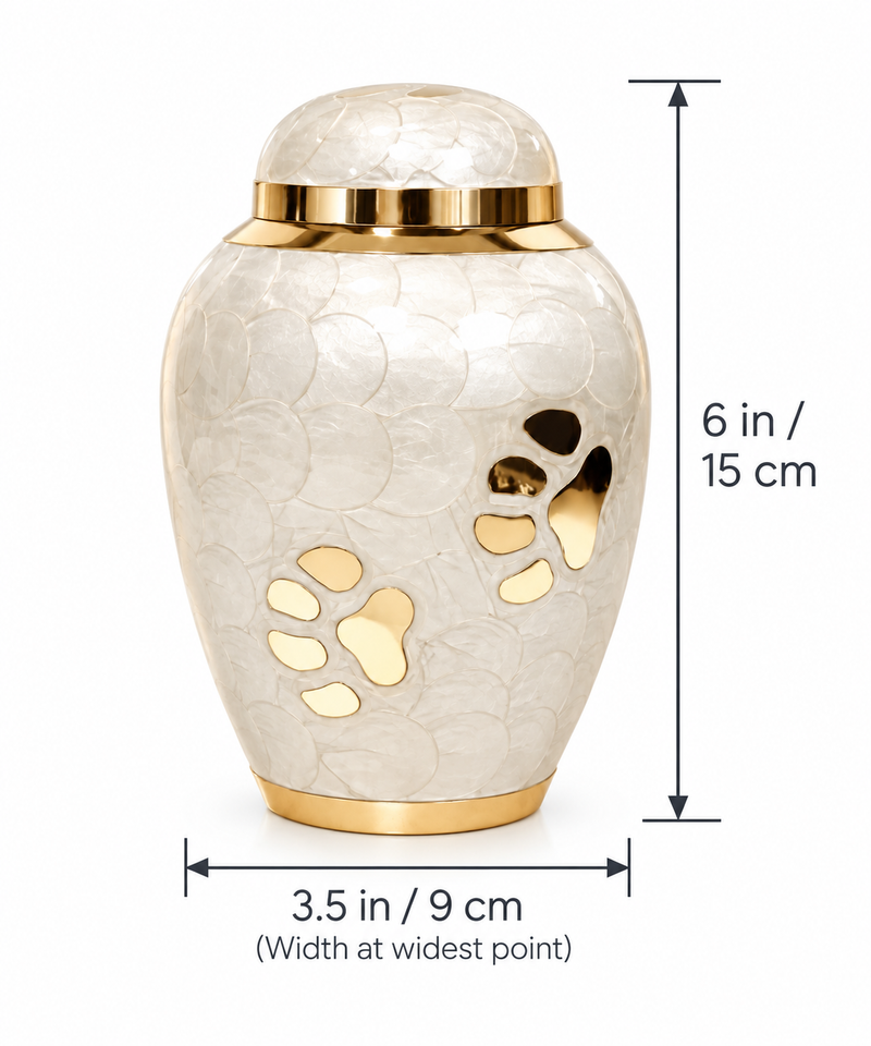 Product Specifications